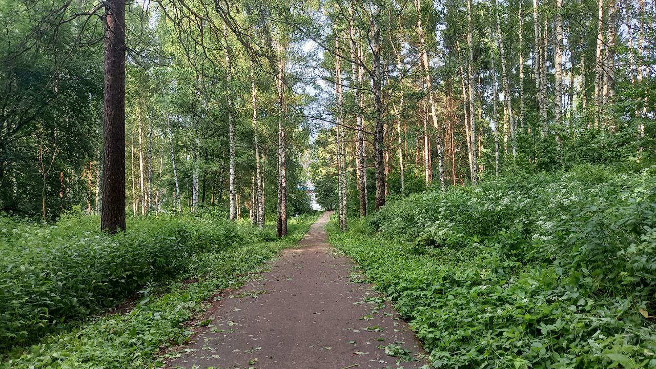 Роща баума алматы карта. Тополиная роща минусинск. Роща новороссийск. Темная роща. Роща кенконс.