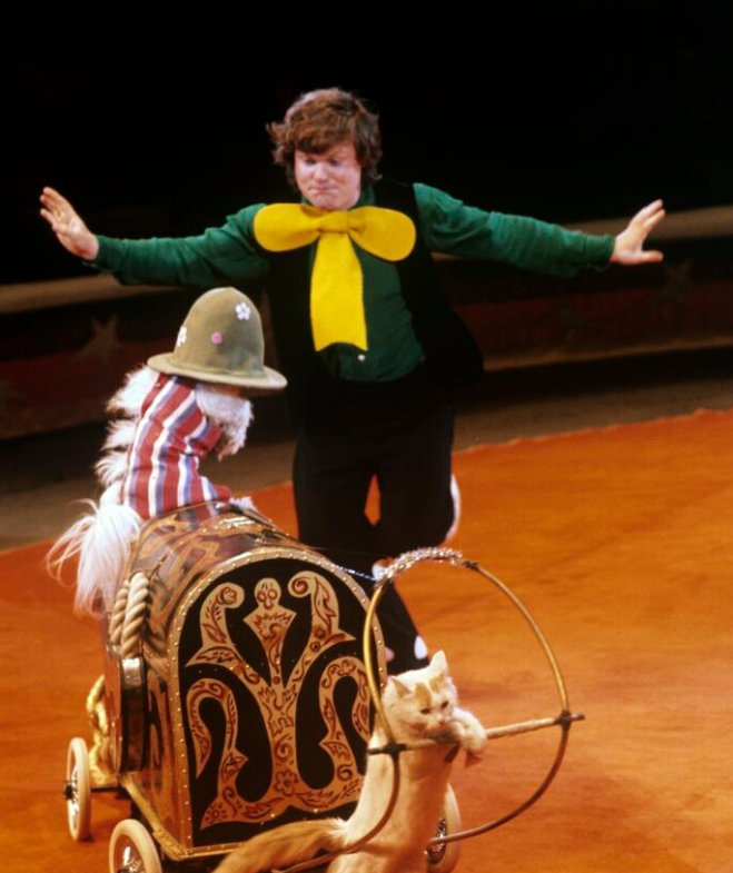 Юрий Куклачев с кошками в Большом государственном московском цирке, 1976 год 