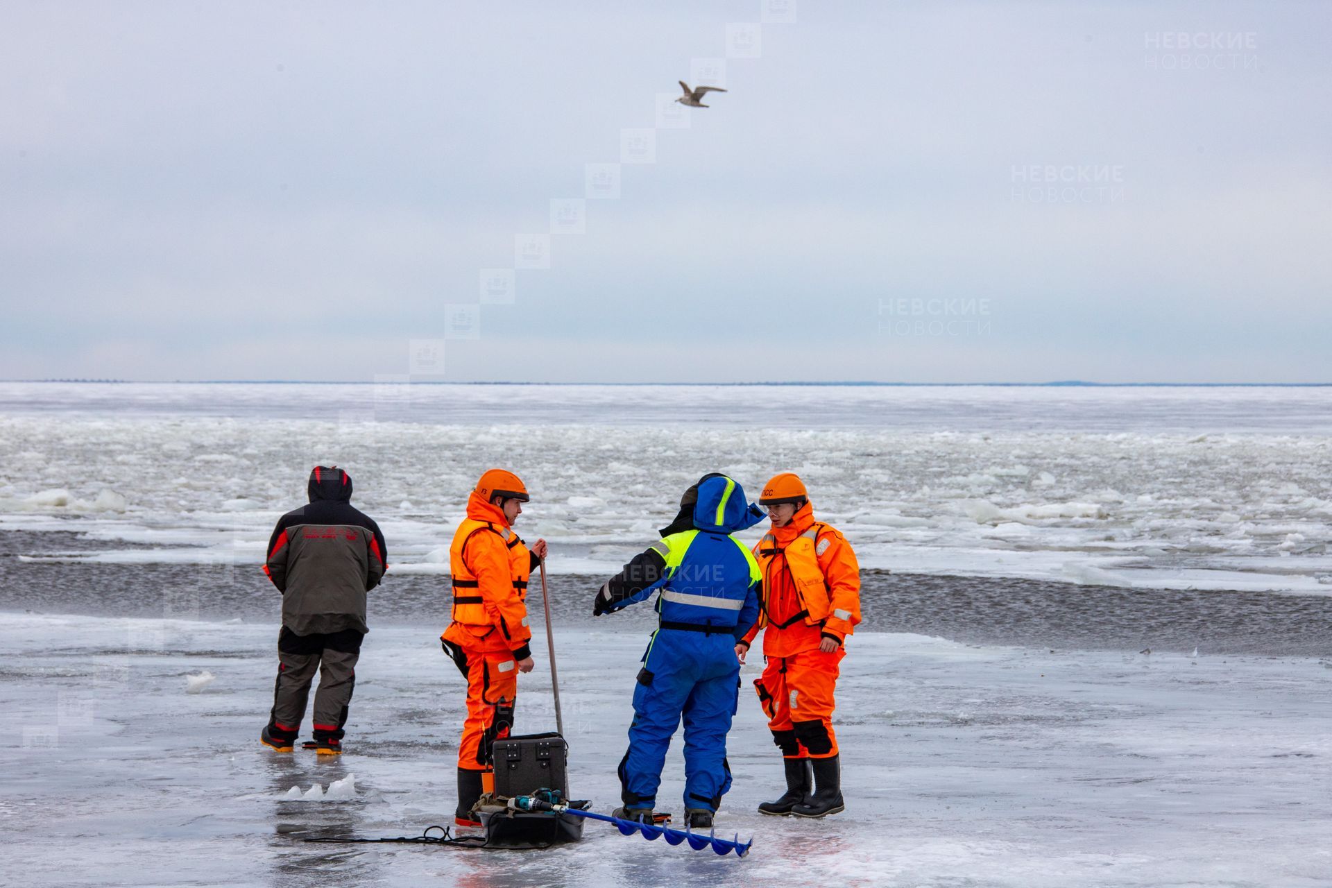 выход на лед финского залива. рыбаки на льдине в финском заливе. выход на лед финского залива. лед на финском заливе. состояние льда на финском заливе.