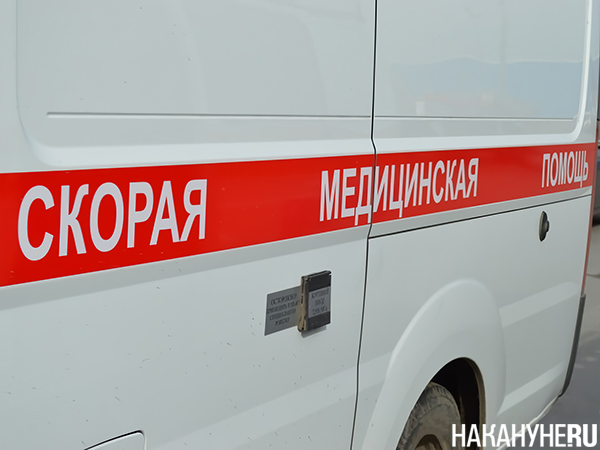 Фото: Накануне.RU