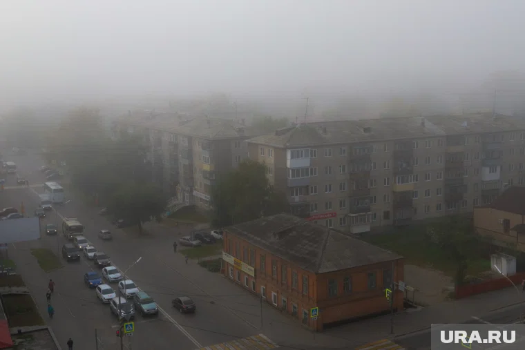 Курганских водителей предупредили о тумане