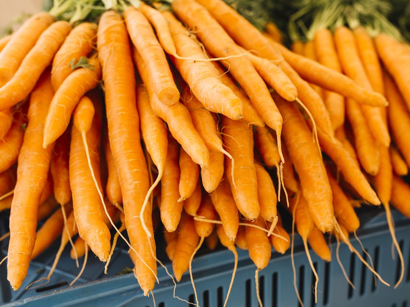 В Свердловской области проверили морковь: выявлено превышение ПДК пестицидов | В Свердловской области обнаружили морковь с превышением пестицидов