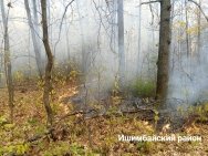 Лесной пожар произошел в районе Башкирии