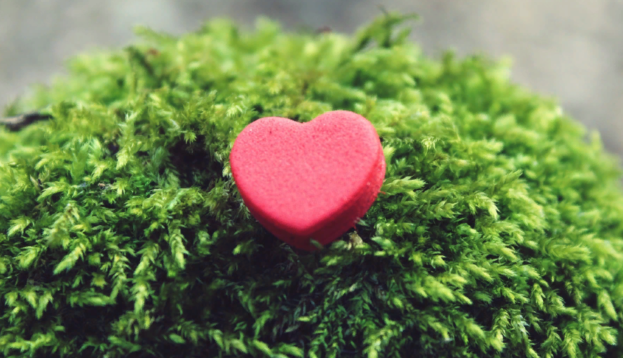 Сын Дубцовой вышел в свет с новой спутницей