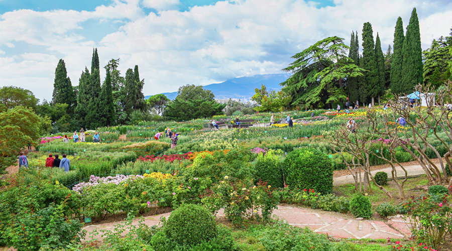 Бал хризантем в Никитском ботаническом саду