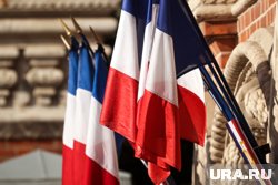 Во Франции принимаются меры из-за эпидемии чикунгуньи