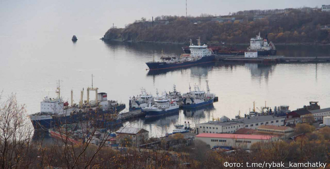 На Камчатке рыбопромышленники жалуются на нехватку денег