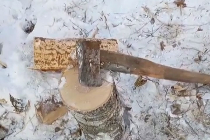 Крепкие крещенские морозы помогли Василию Белоногову наколоть дров для бани