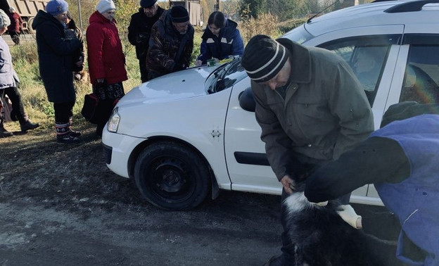 Более 300 домашних животных привили в Октябрьском районе Кирова