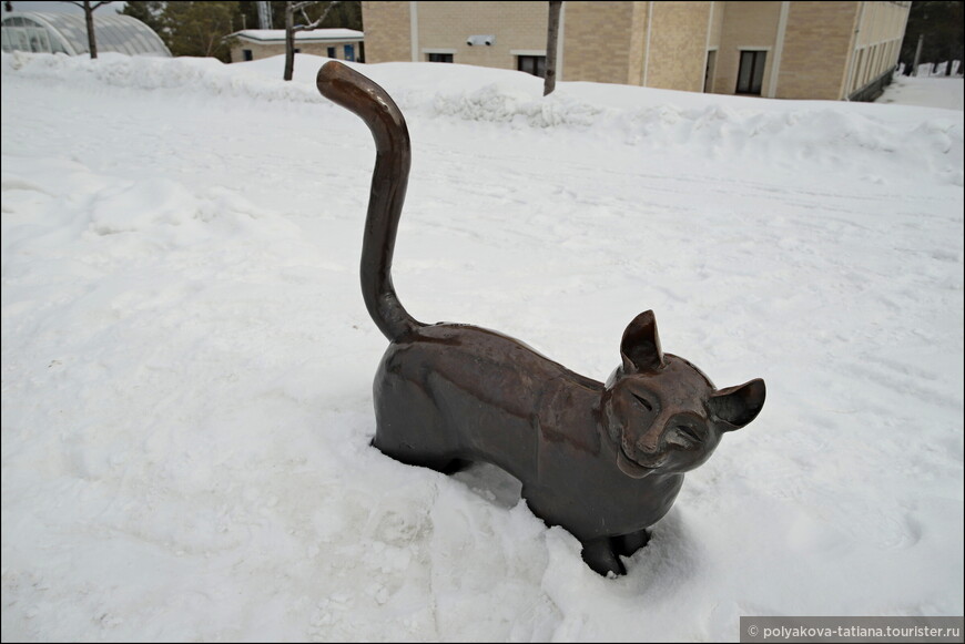 Кошечка Муренка