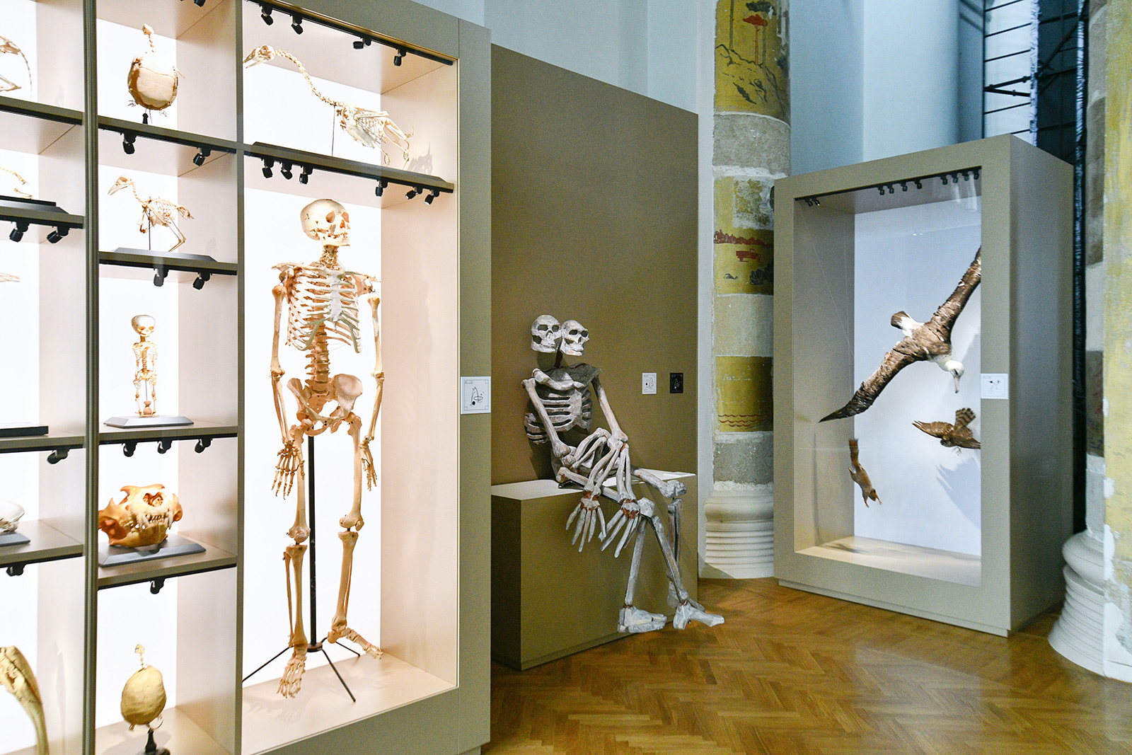 вднх выставка 13 декабря 2023