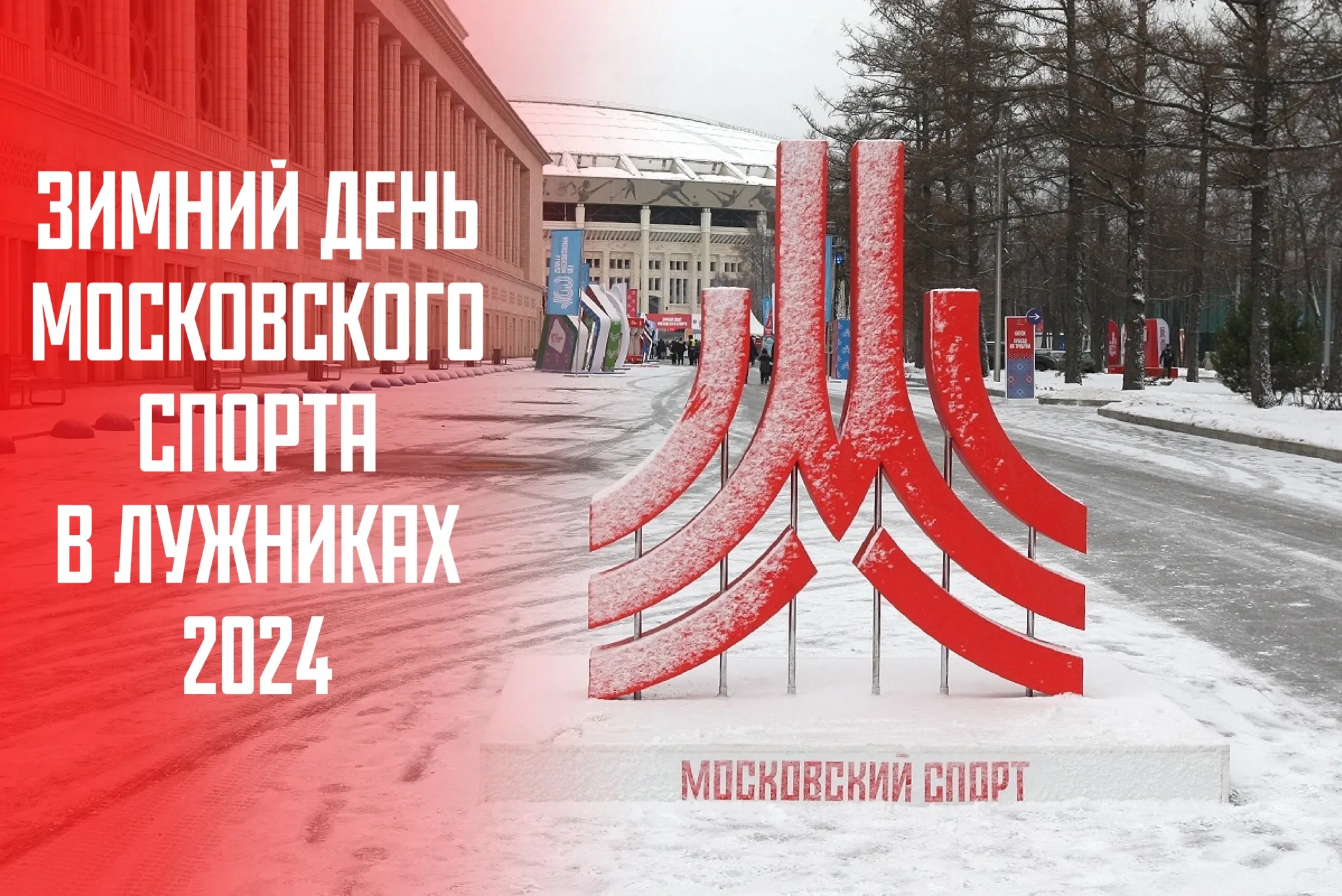 День московского спорта в лужниках 2024 программа