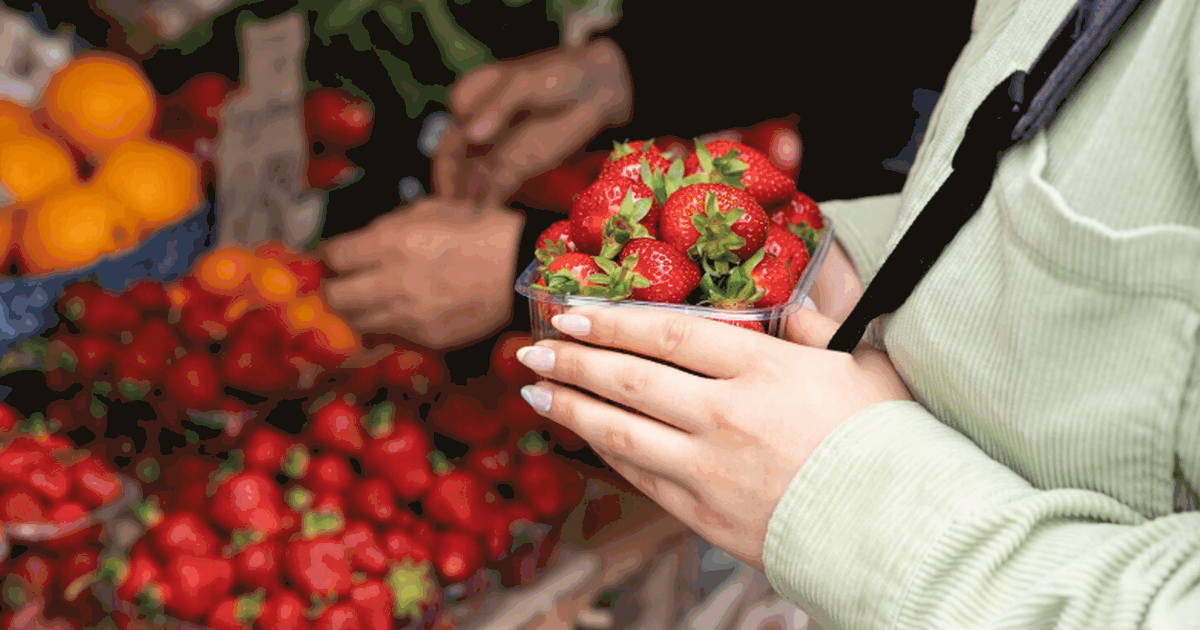 В Самаре стартовали продажи первой клубники сез...