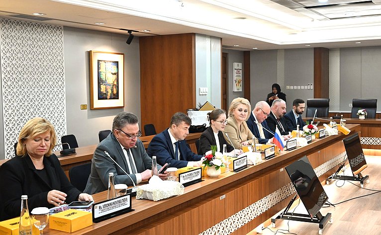 Сенаторы провели переговоры с Равиндрой Аирлангой и председателем Группы дружбы Совета народных представителей Республики Индонезии с нижней палатой российского парламента Вихади Виджаянто