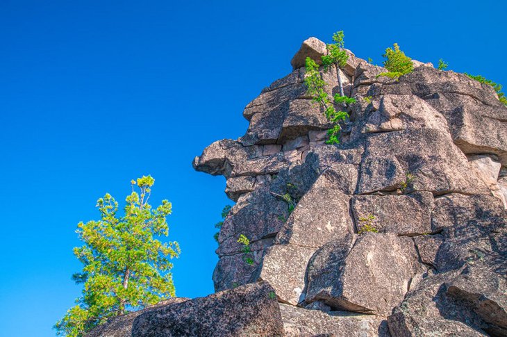 Скальник. Фото с сайта правительства Иркутской области