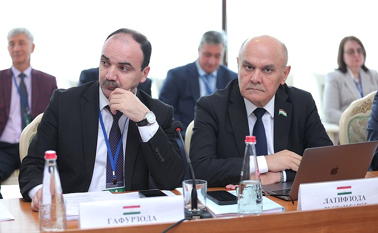 Заседание Постоянной комиссии МПА СНГ по аграрной политике, природным ресурсам и экологии (автор: Пресс-служба Министерства экономики и территориального развития Республики Дагестан)