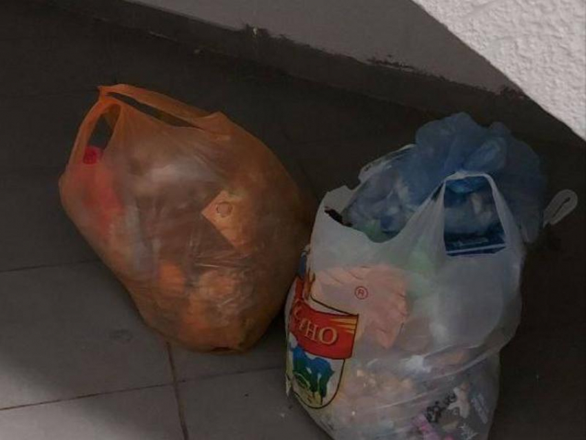 «Охота на свиней» началась в воронежском ЖК: горожане устали от мусора