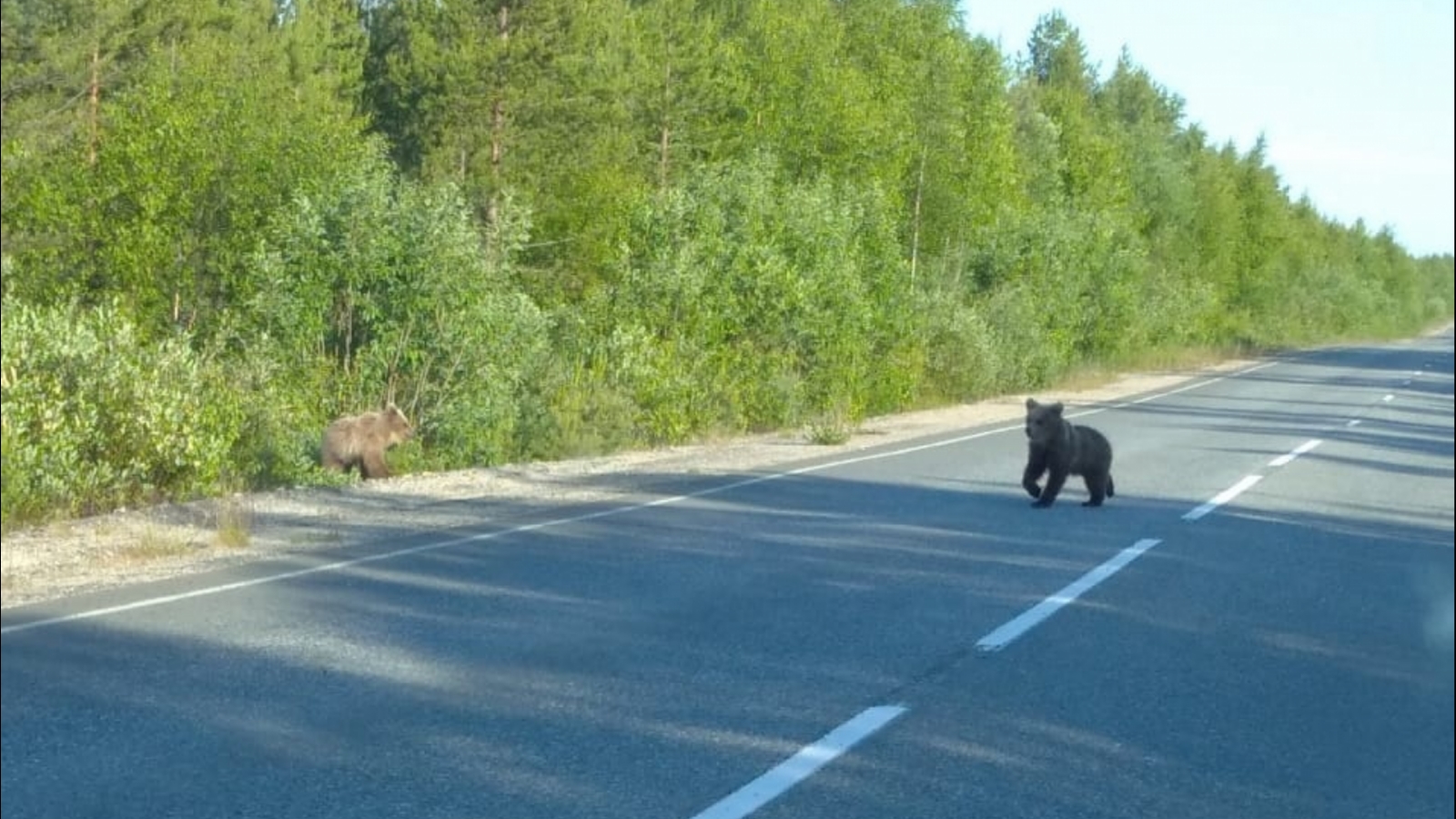 Суровый мурманский поселок енский