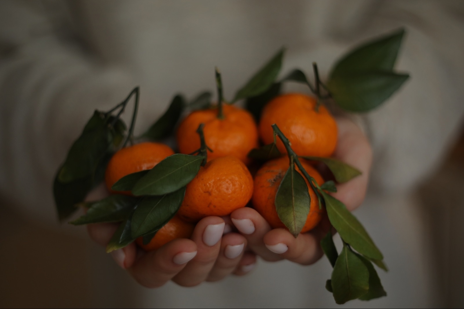 Мандарин с цветочками. Танжерин и кумкват. Чем полезны мандарины для организма. Цитрус кумкват. Мандаринов организма женщины.