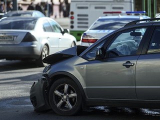 Грузовик сбил лося на дороге возле Подольска