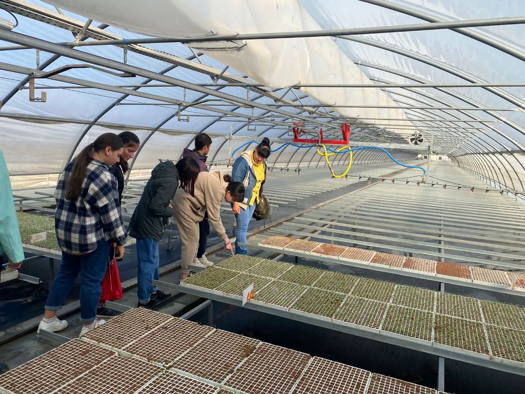 агропромышленный комплекс астраханской области. апк астраханский картинки. апк астрахань. астрахань апк астраханский. ооо апк астраханский.