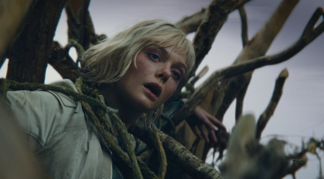 Кадр из фильма «Хищник: Планета смерти» (2025)