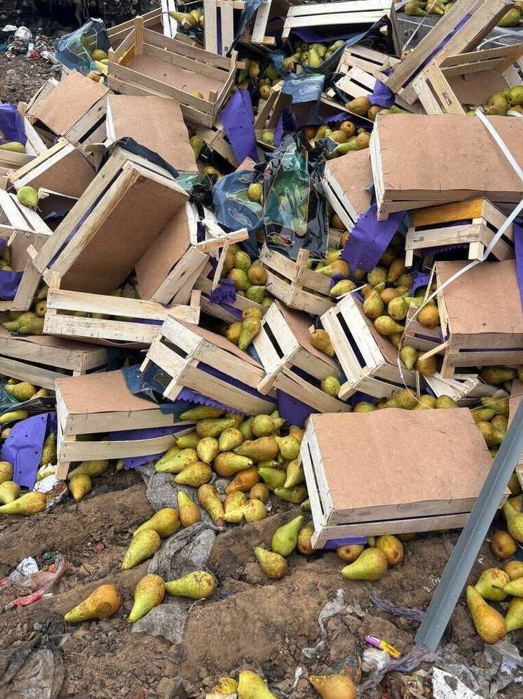 40 тонн польских и бельгийских груш уничтожили в Псковской области