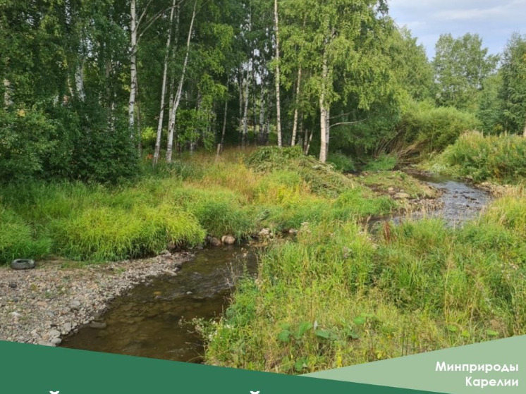 Русло реки в Петрозаводске очистят за 30 млн рублей