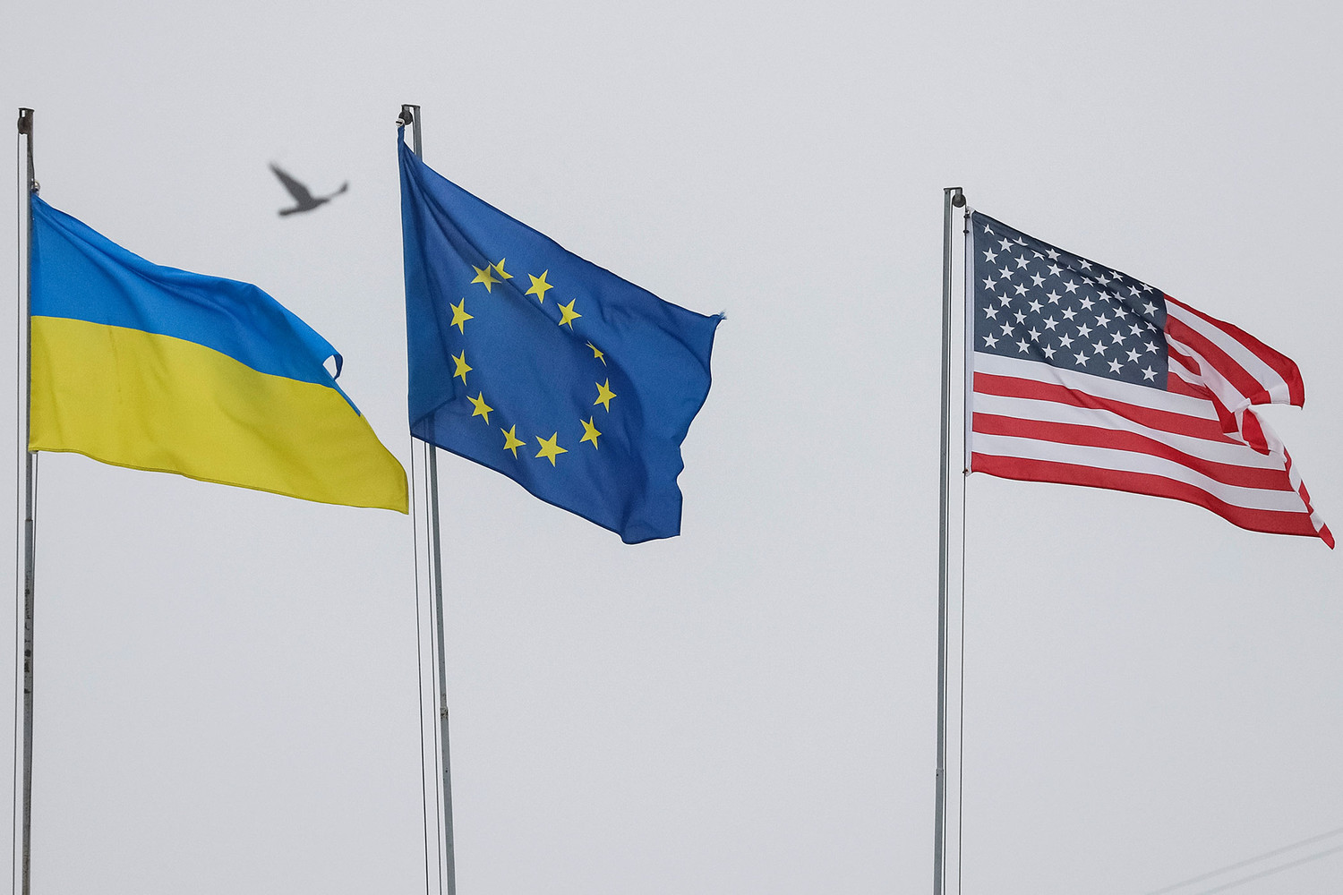 украина сша