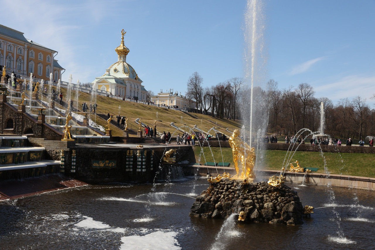 Фото: Дмитрий Фуфаев/«Петербургский дневник»