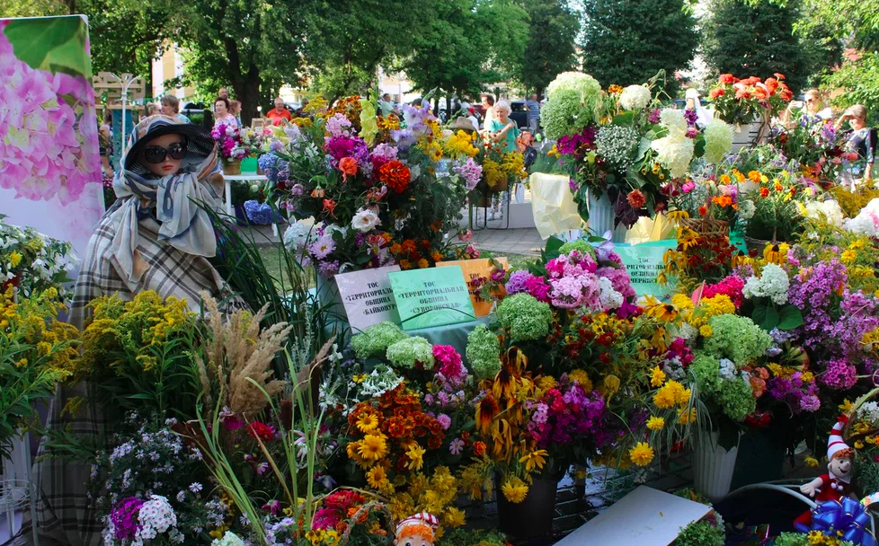 Калуга конкурс. Конкурс цветов. Фестиваль цветов. Калуга в цвету. Конкурс цветоводов.