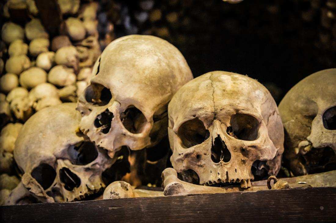 Самая древняя челюсть состарит нас на 400 тысяч лет