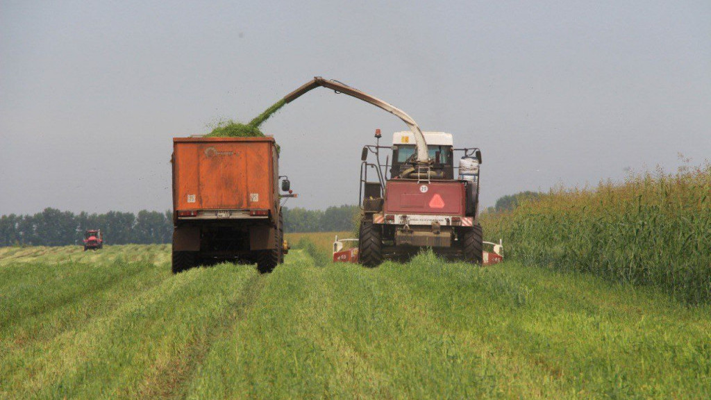 Фото: Минсельхоз АК