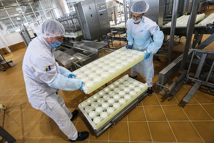 «Неважно, цельномолочная это продукция, сыры или ингредиенты. Заводы должны быть с мощностью переработки 500, 700, 800, а лучше 1 тысяча тонн молока, а еще лучше 2 тысячи тонн»