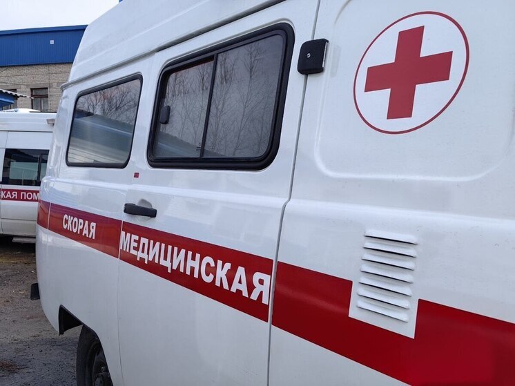 Во Владивостоке домашняя собака напала на двухлетнего мальчика