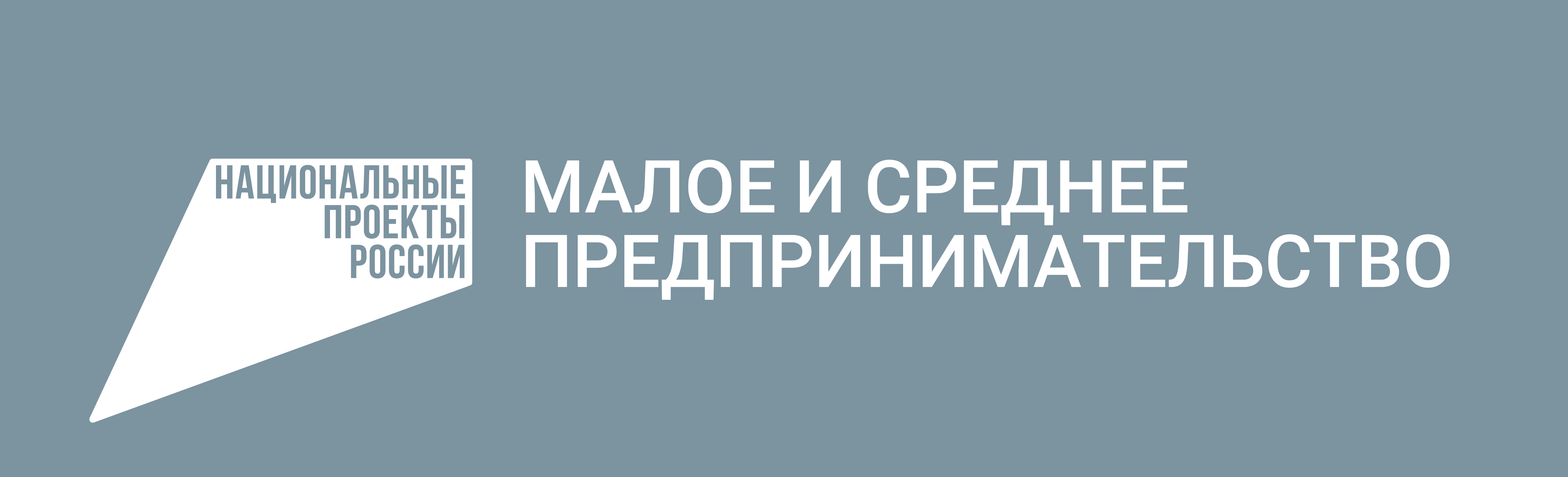 Инициатива предпринимательства. Национальные проекты предпри. Логотип нацпроекта Малое и среднее предпринимательство. Национальный проект Малое и среднее предпринимательство. Национальные проекты Малое и среднее предпринимательство лого.