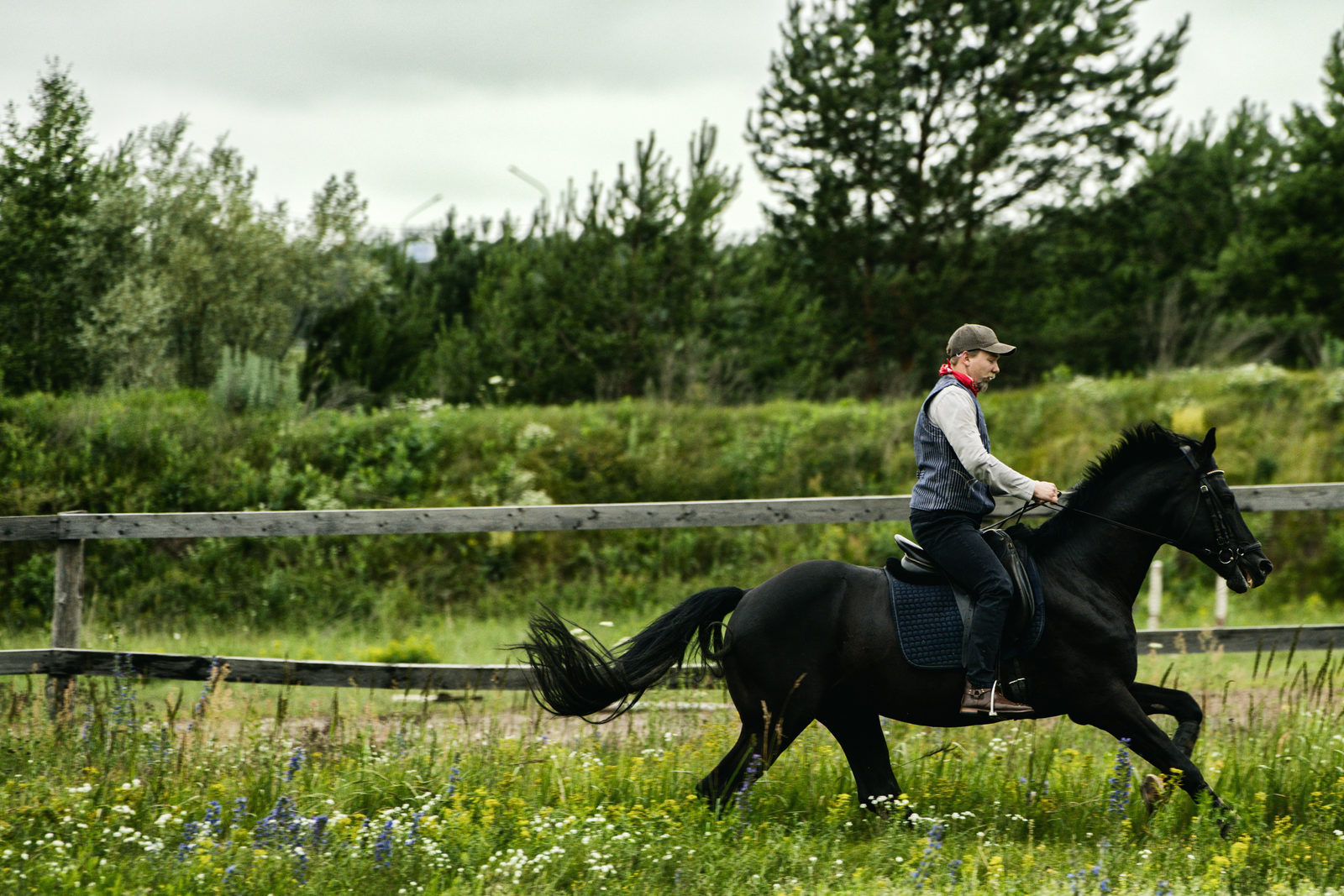 «Быков» с минипигом Нюшей возьмется за расследование преступлений