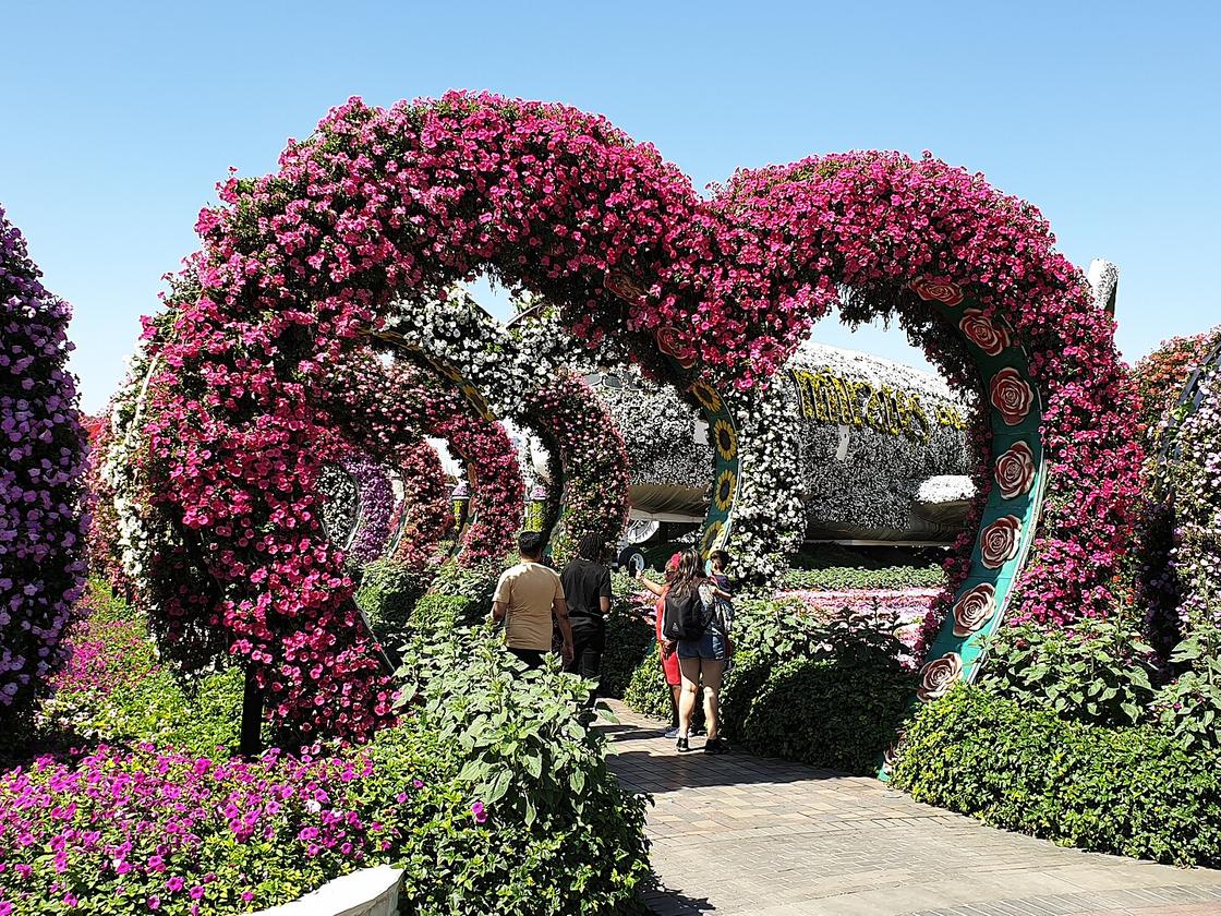 Арки из цветов в виде сердец в Саду чудес в Дубае
