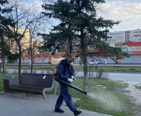 Обработку от клещей провели в зелёных зонах Засвияжья
