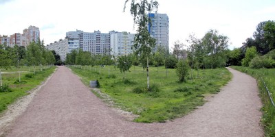 Купчинский сквер, развилка аллей