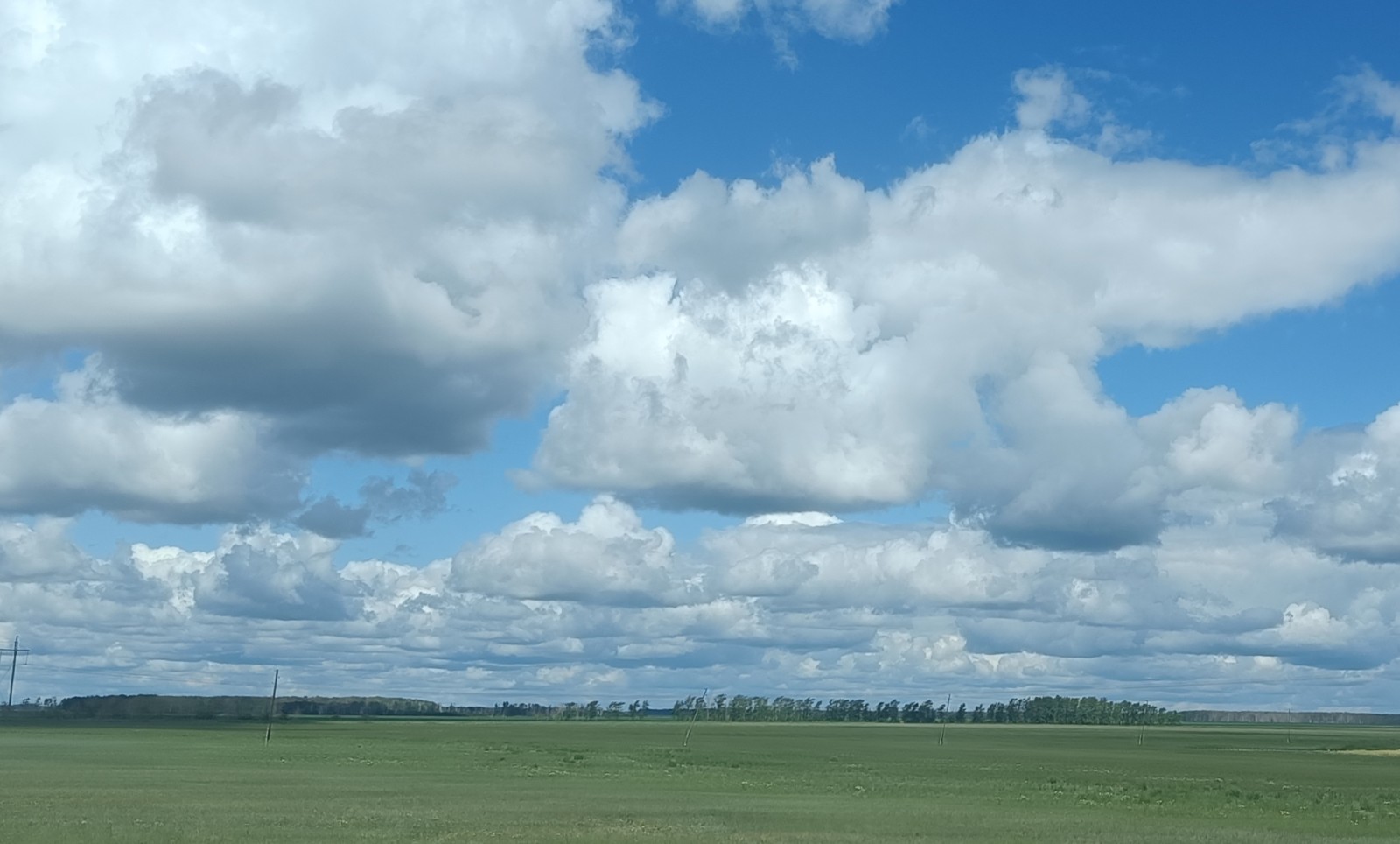 Молния убила пастуха и 19 буйволов - ужасающая трагедия в сельской местности