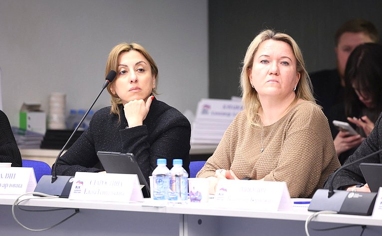 Заседание Комиссии Совета Федерации по развитию креативных (творческих) индустрий и народных художественных промыслов в РФ