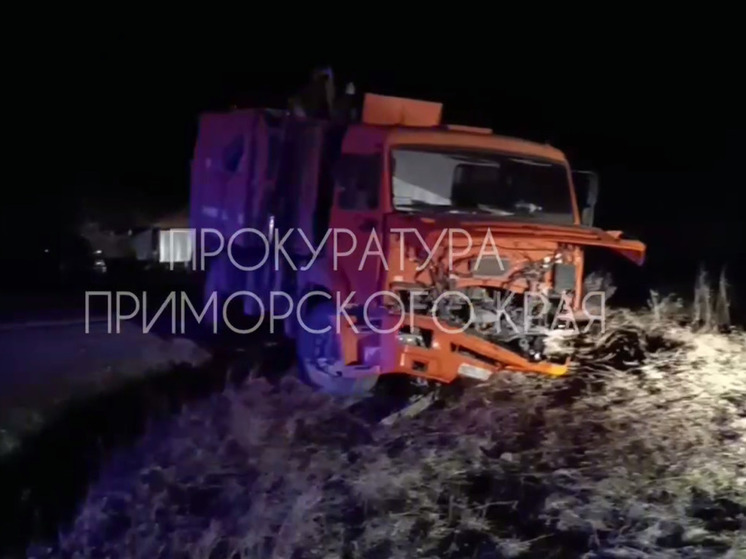 Смертельное ДТП в Приморье: Toyota Camry врезалась в КАМАЗ