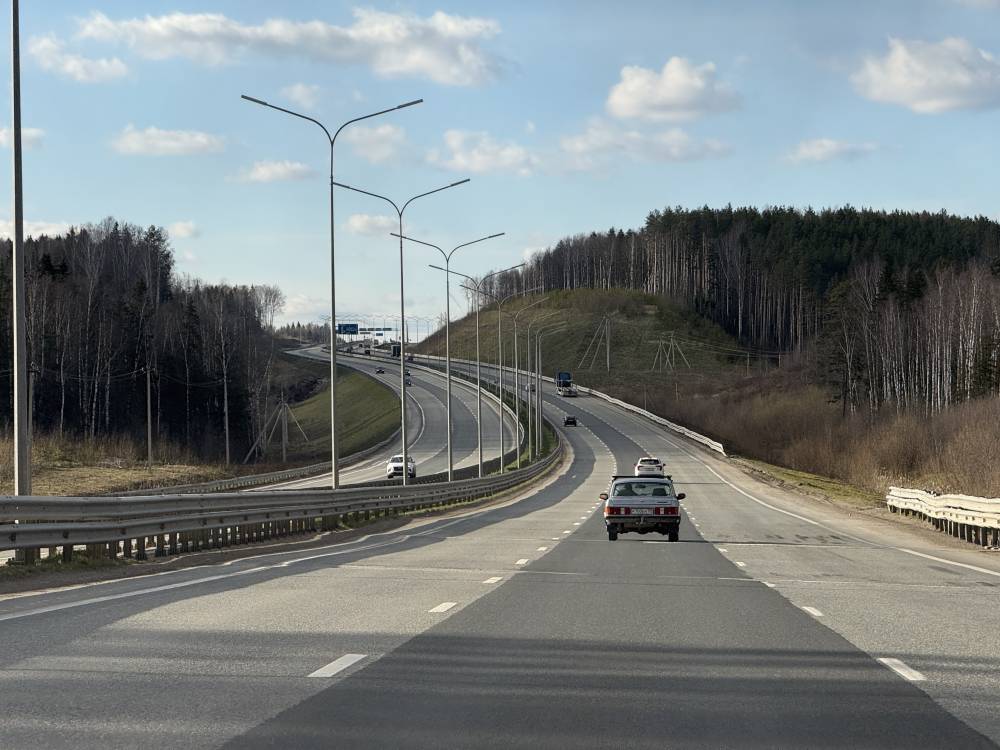 В Прикамье началась миграция лосей