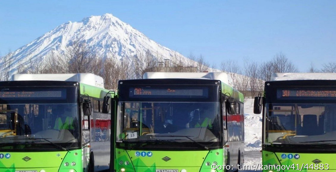 Весной школьники Петропавловска смогут чаще ездить на автобусах