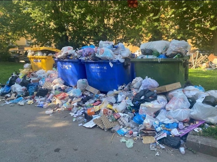 Михаил Ведерников срочно прерывает командировку в Беларусь для решения проблемы с мусором