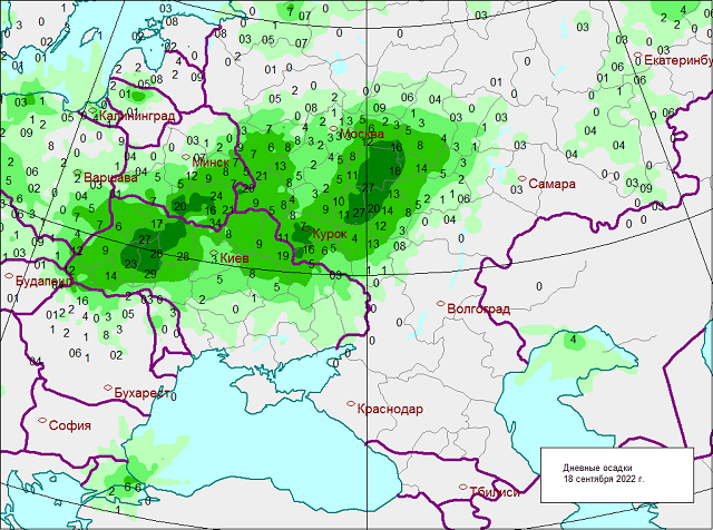 Осадки в реальном времени великий новгород. Карта осадков Курск.