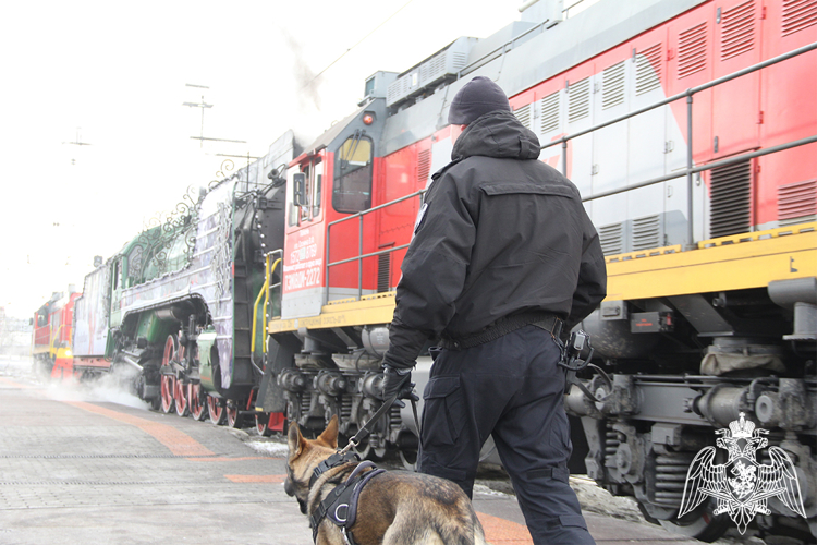 Росгвардия обеспечила безопасность прибытия поезда Деда Мороза в Тюменскую область
