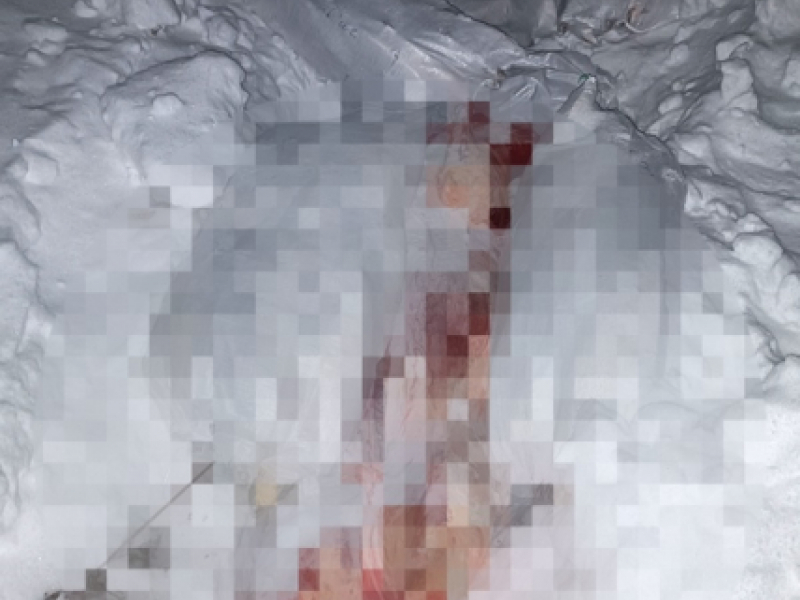 JPEG Файл