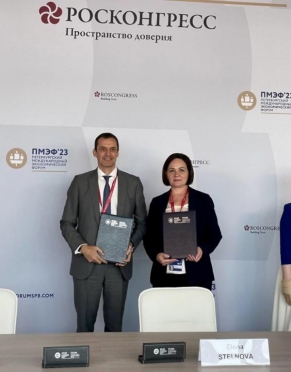 Финансовый директор в проекте